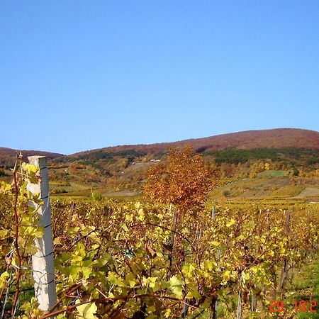 Winzerhotel Gumpoldskirchen Εξωτερικό φωτογραφία