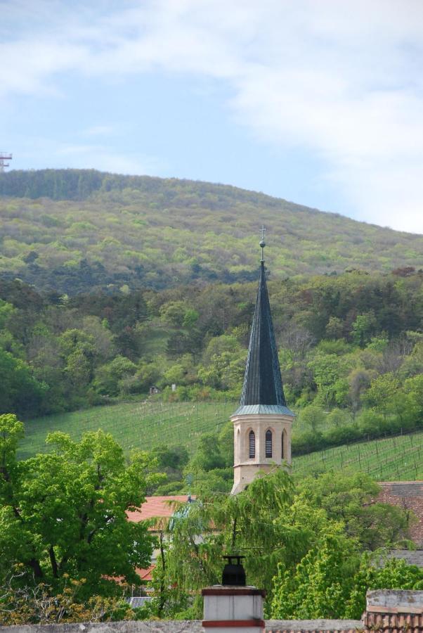 Winzerhotel Gumpoldskirchen Εξωτερικό φωτογραφία